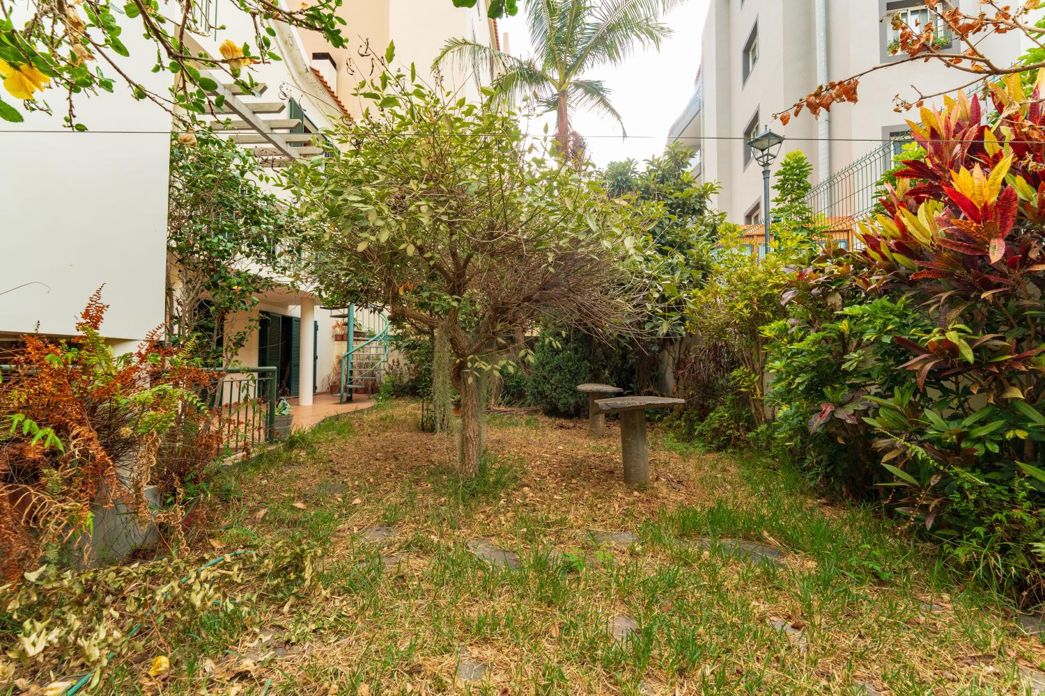  en venta villa Ribeira Brava Ribeira Brava 29