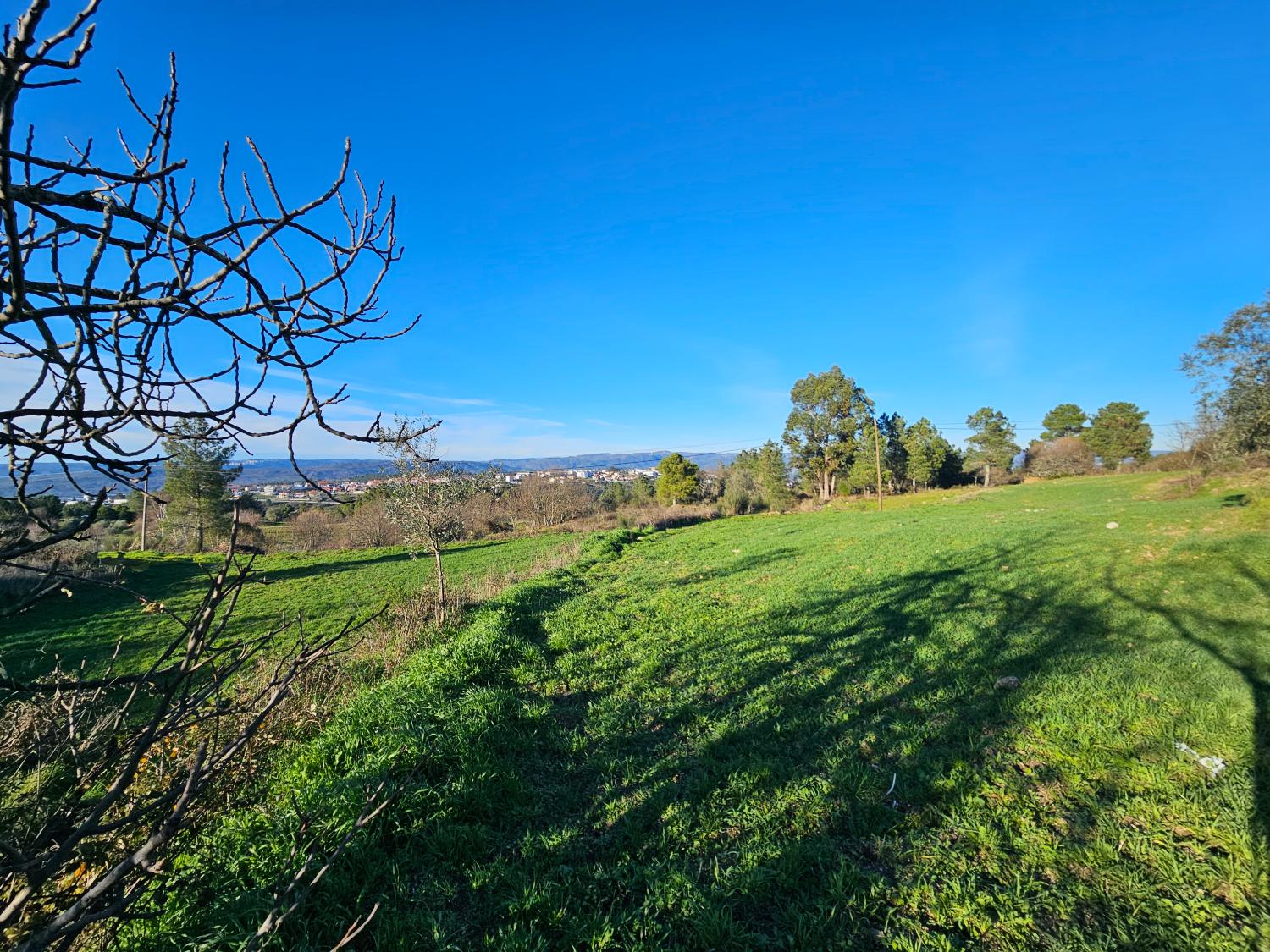 en venta casa rústica Aldeia da Serra Celorico Da Beira 4