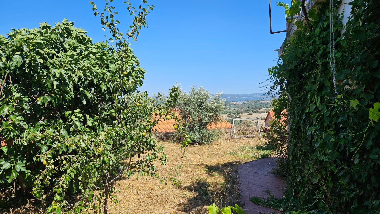  en venta mansión Celorico da Beira Celorico Da Beira 9