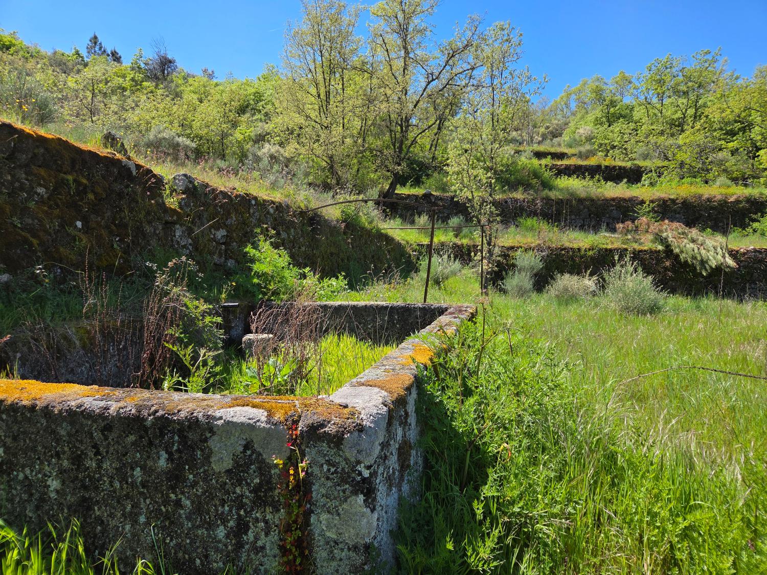  en venta casa rústica Lajeosa do Mondego Celorico Da Beira 11