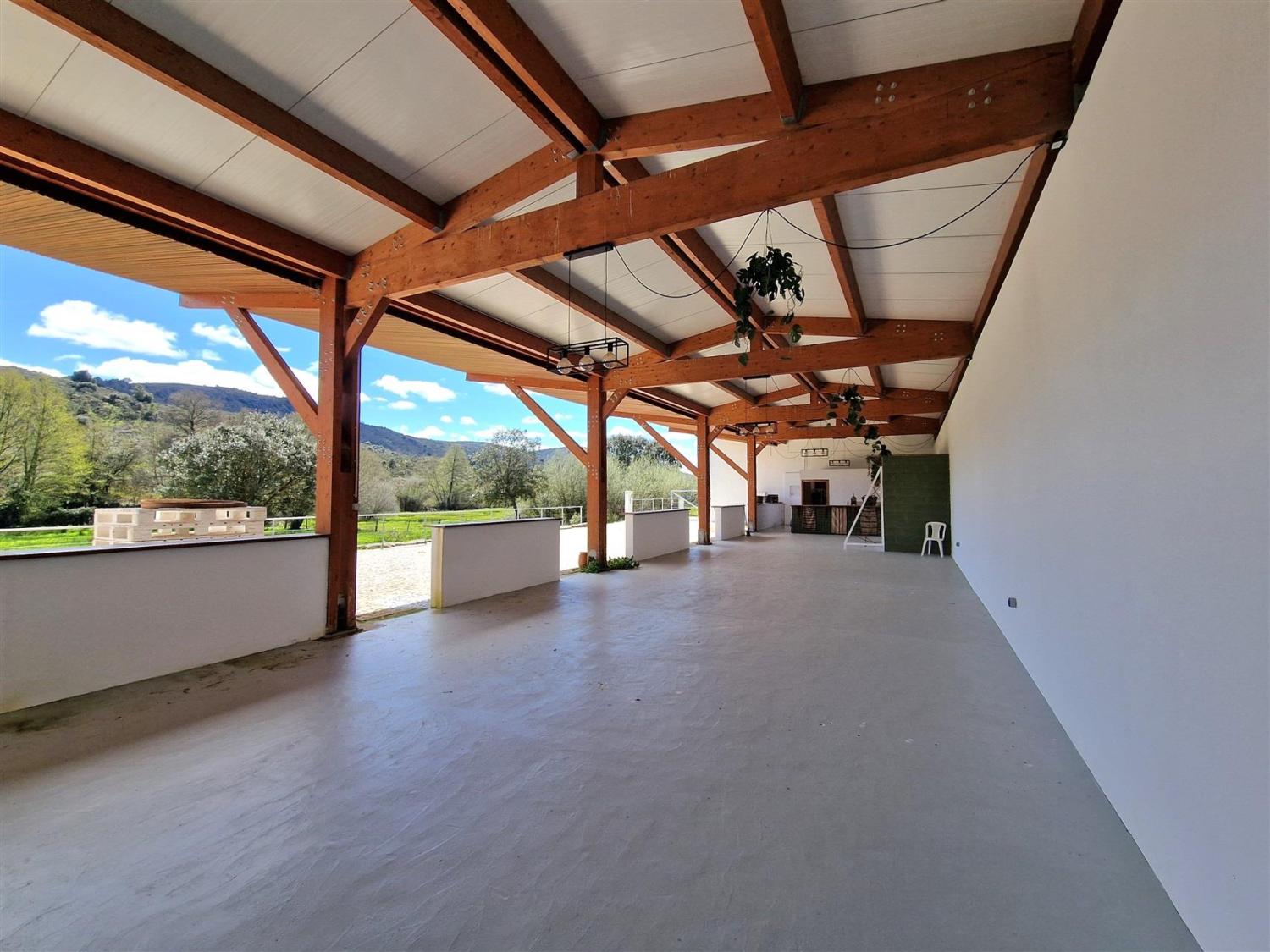  en venta finca rústica Celorico da Beira Celorico Da Beira 16