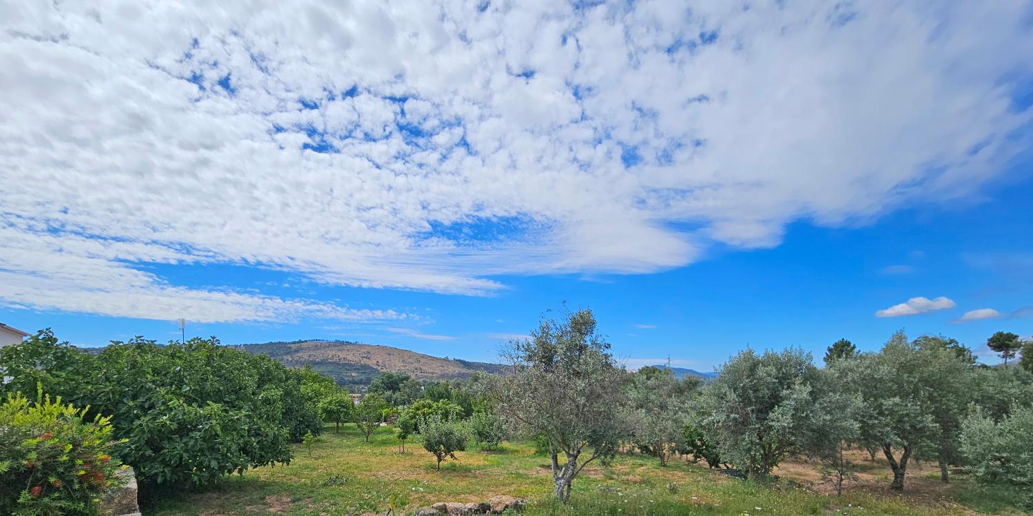  en venta casa Gonçalo Guarda 12