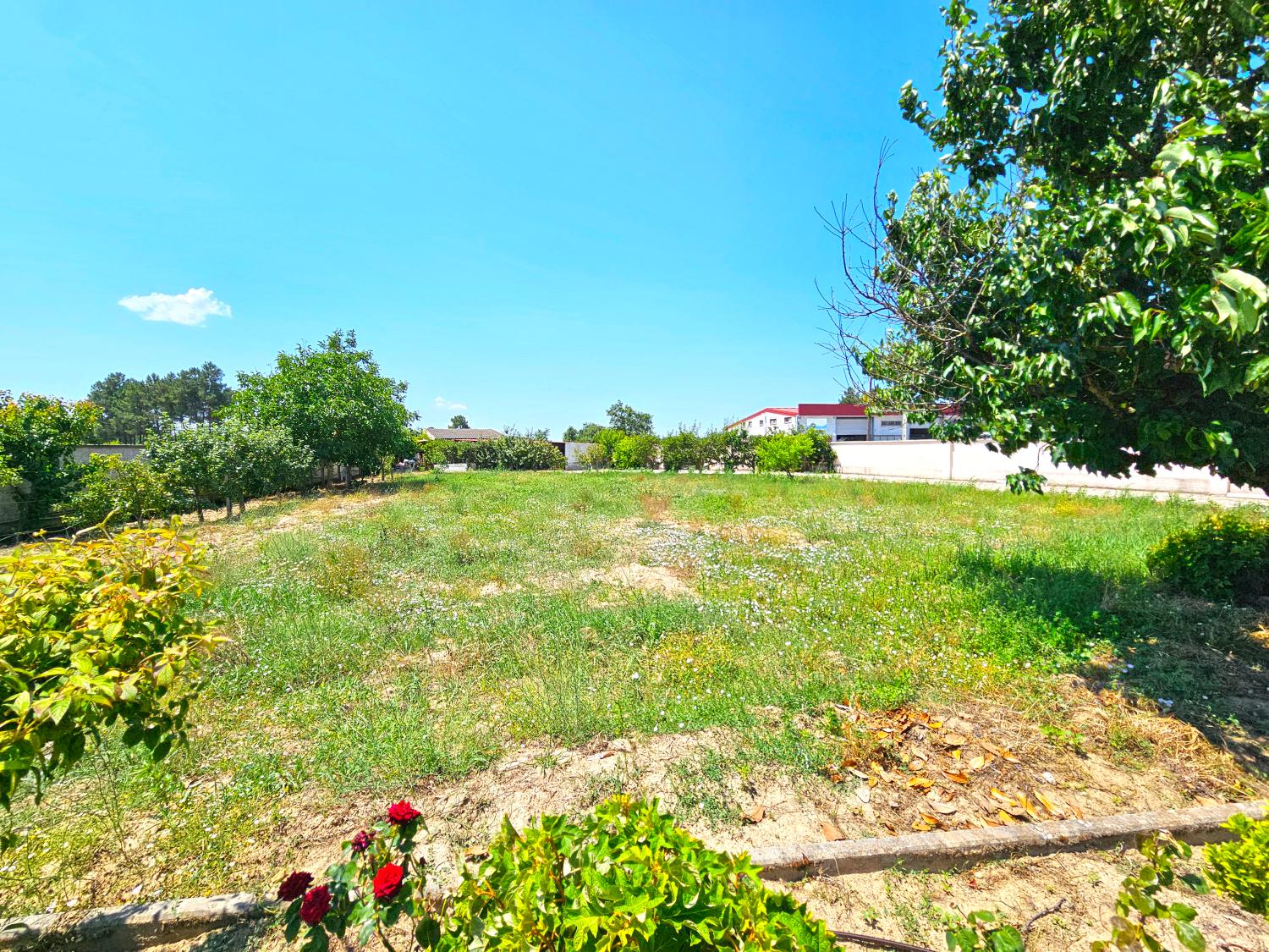  en venta casa independiente Souro Pires Pinhel 14