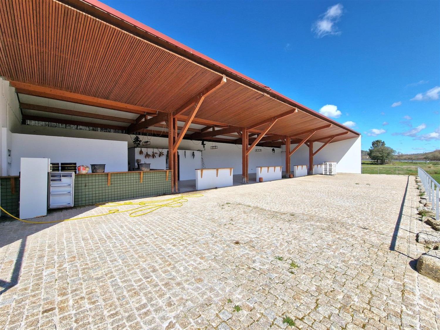  en venta finca rústica Celorico da Beira Celorico Da Beira 15