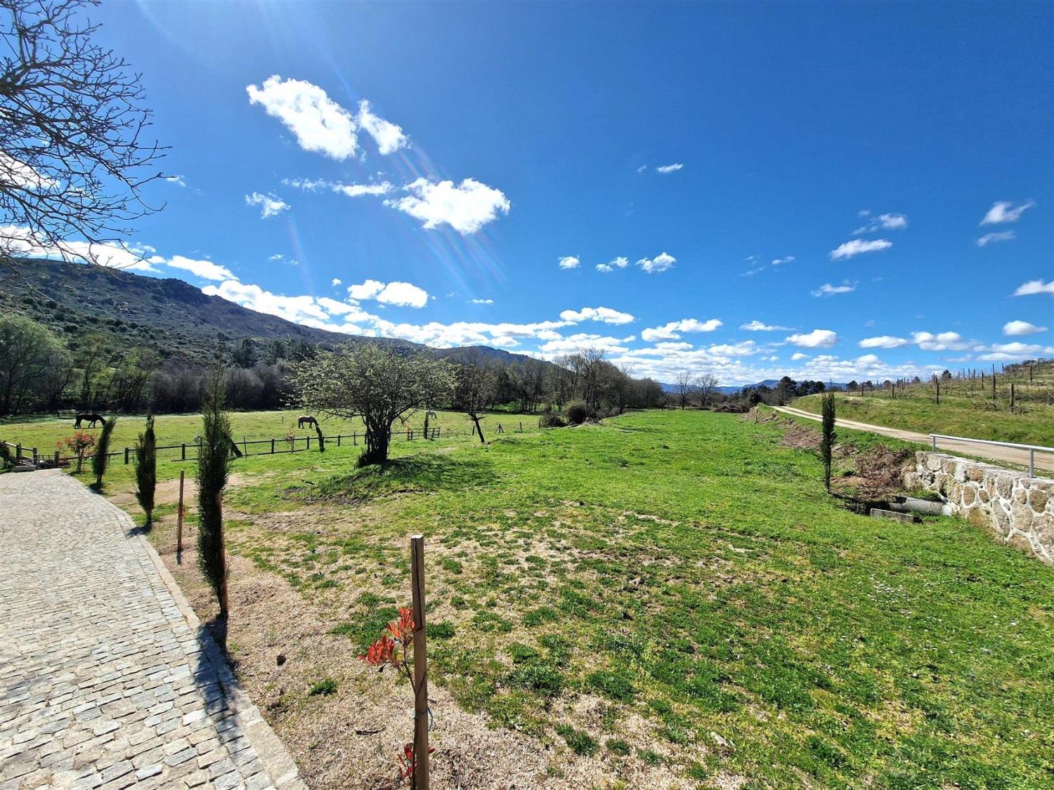  en venta finca rústica Celorico da Beira Celorico Da Beira 19