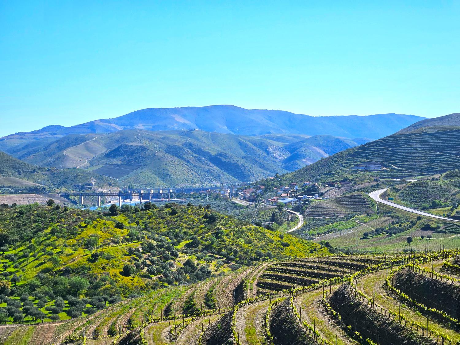  en venta viñedo Vila Nova de Foz Côa Vila Nova De Foz Côa 10