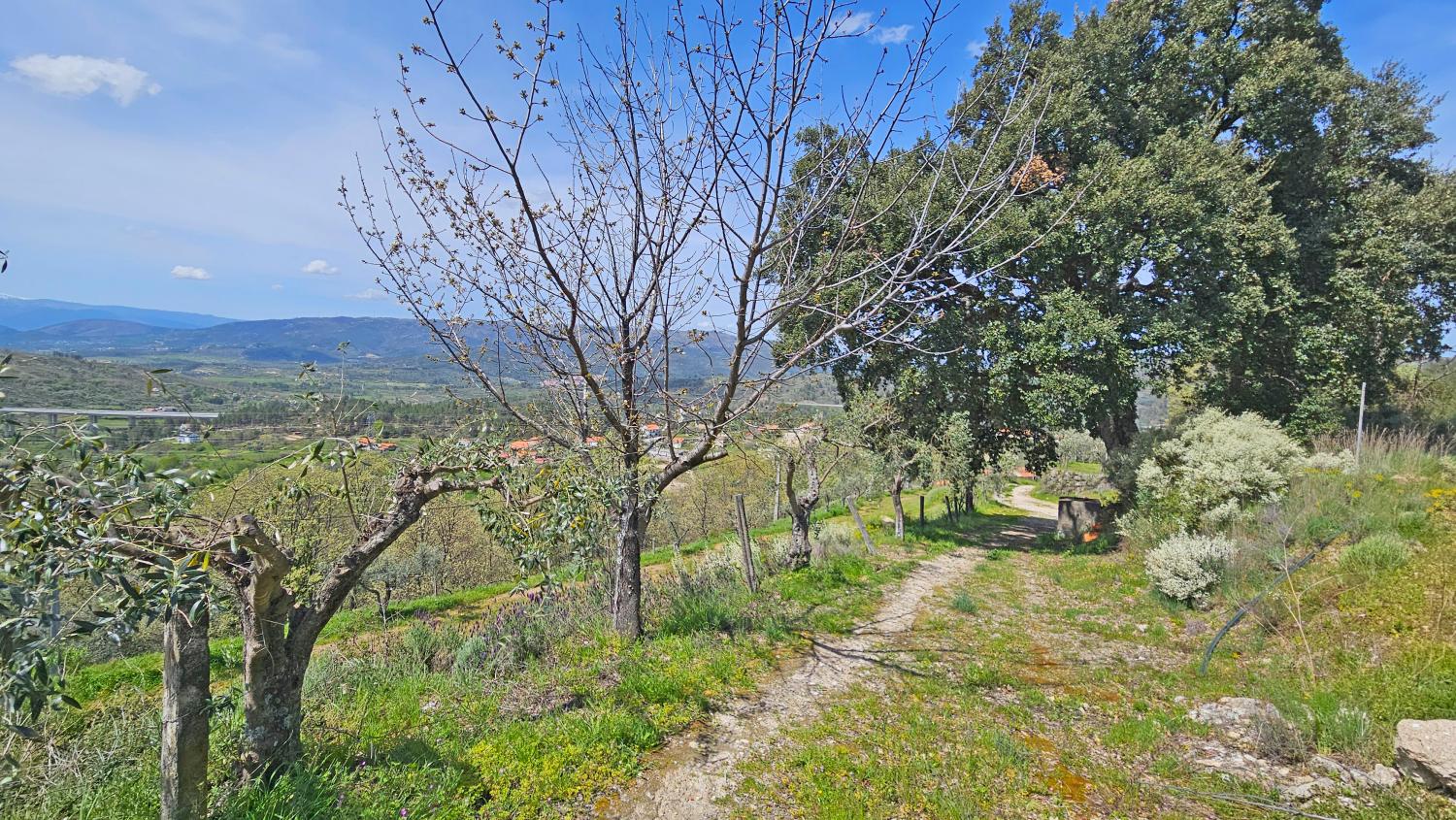  en venta casa Benespera Guarda 8