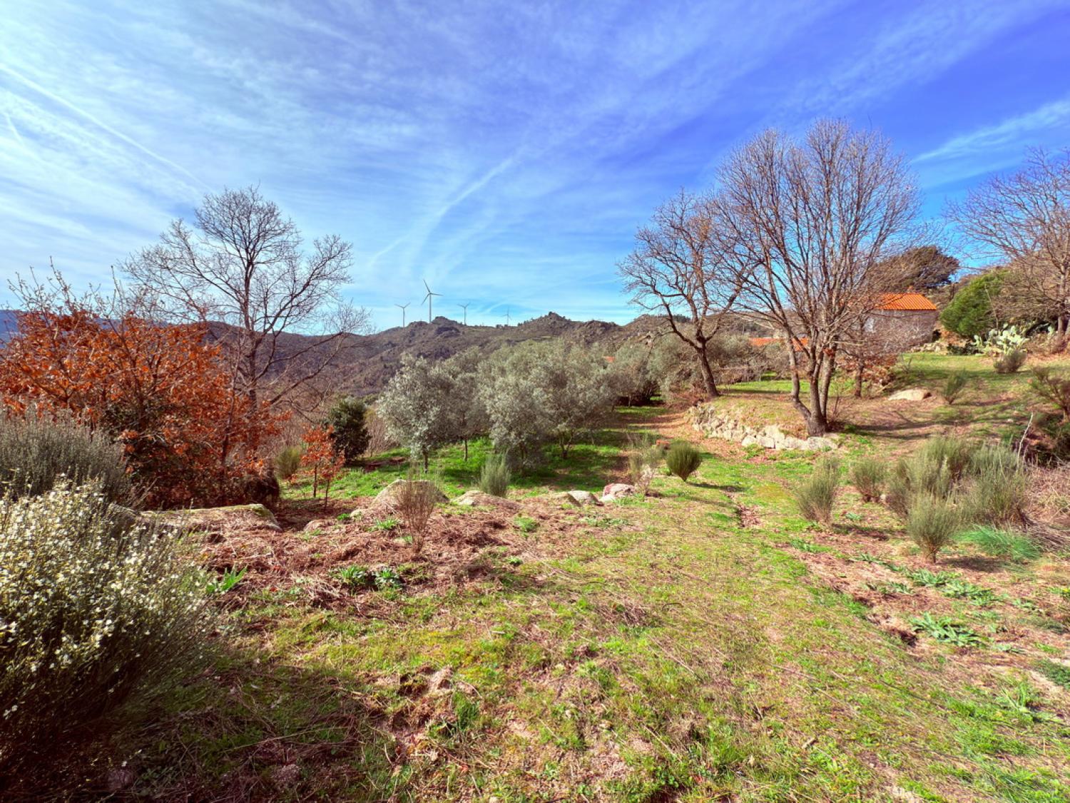  en venta casa rústica Pousafoles do Bispo Sabugal 37