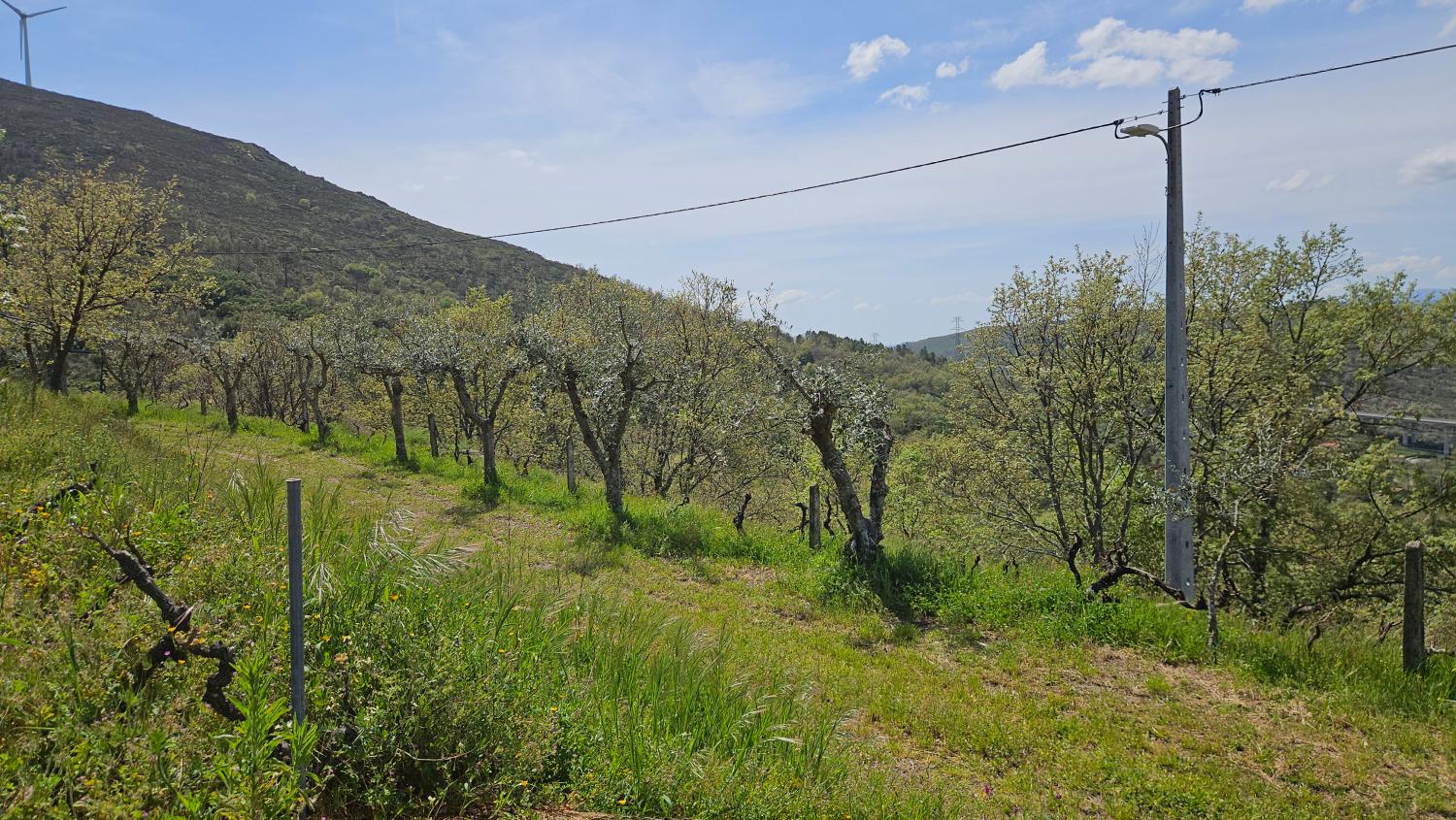  en venta casa Benespera Guarda 5