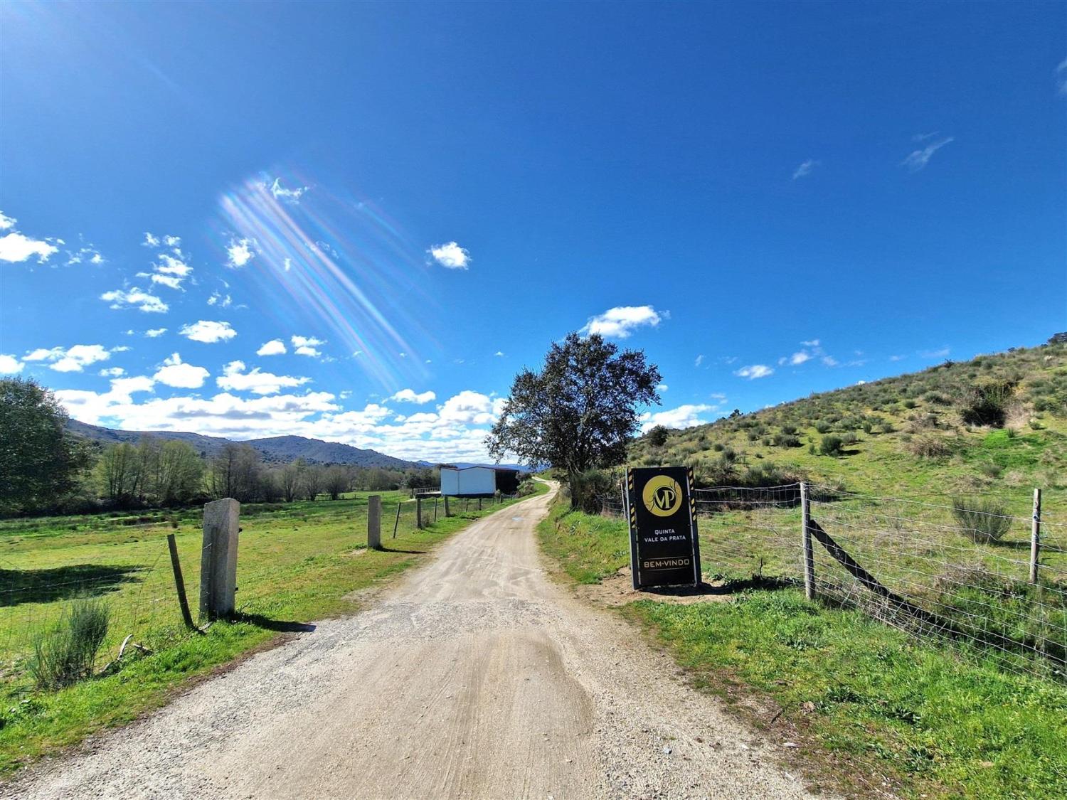  en venta finca rústica Celorico da Beira Celorico Da Beira 2