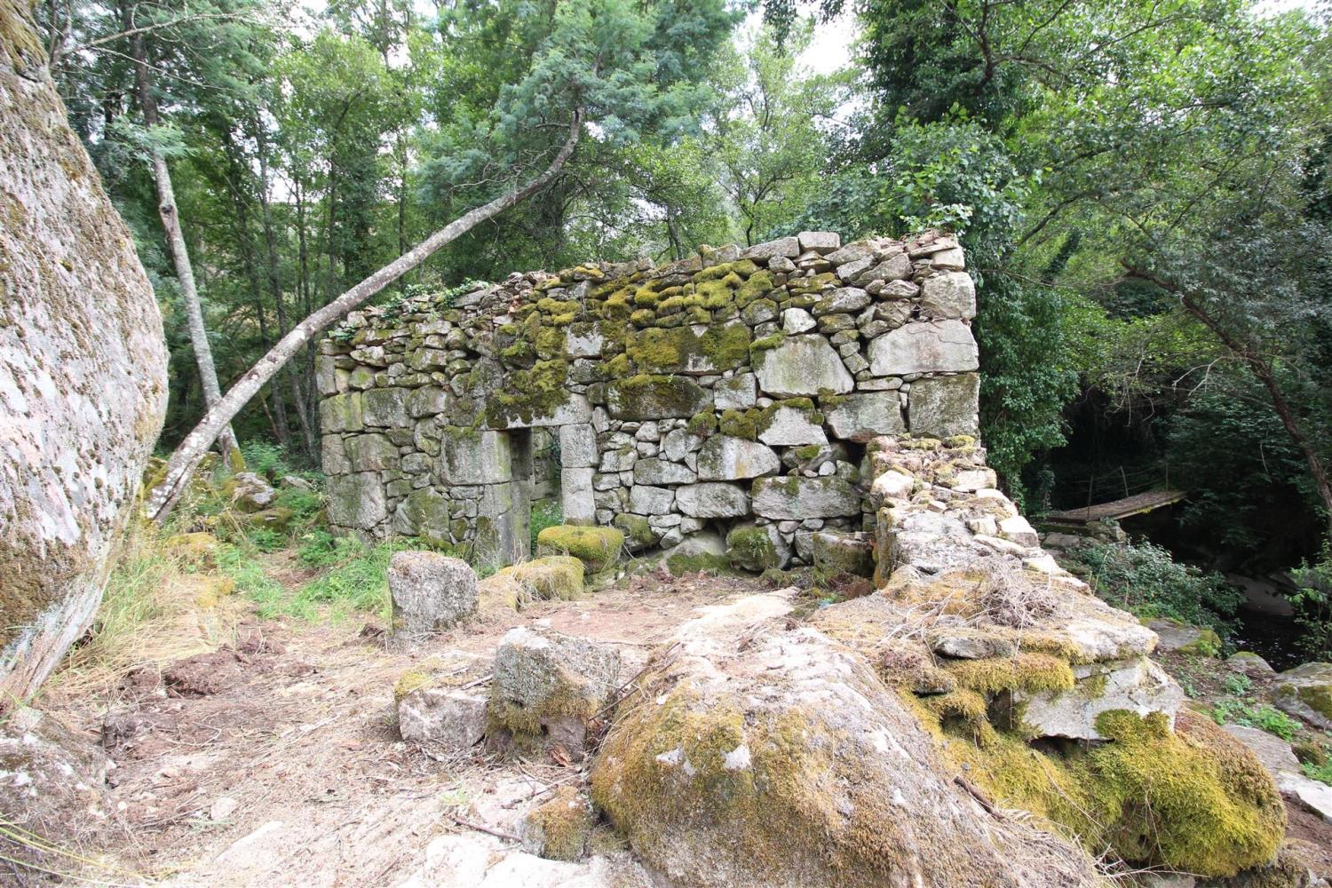  en venta finca rústica Gouveia Gouveia 11