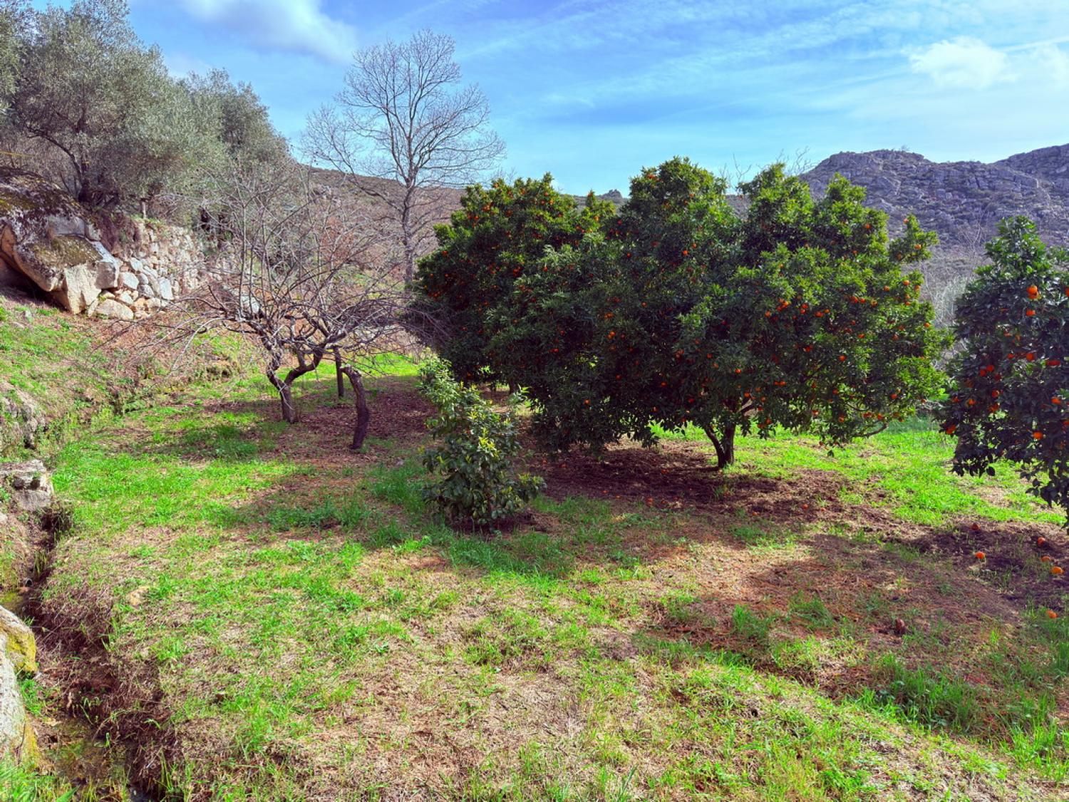  en venta casa rústica Pousafoles do Bispo Sabugal 38