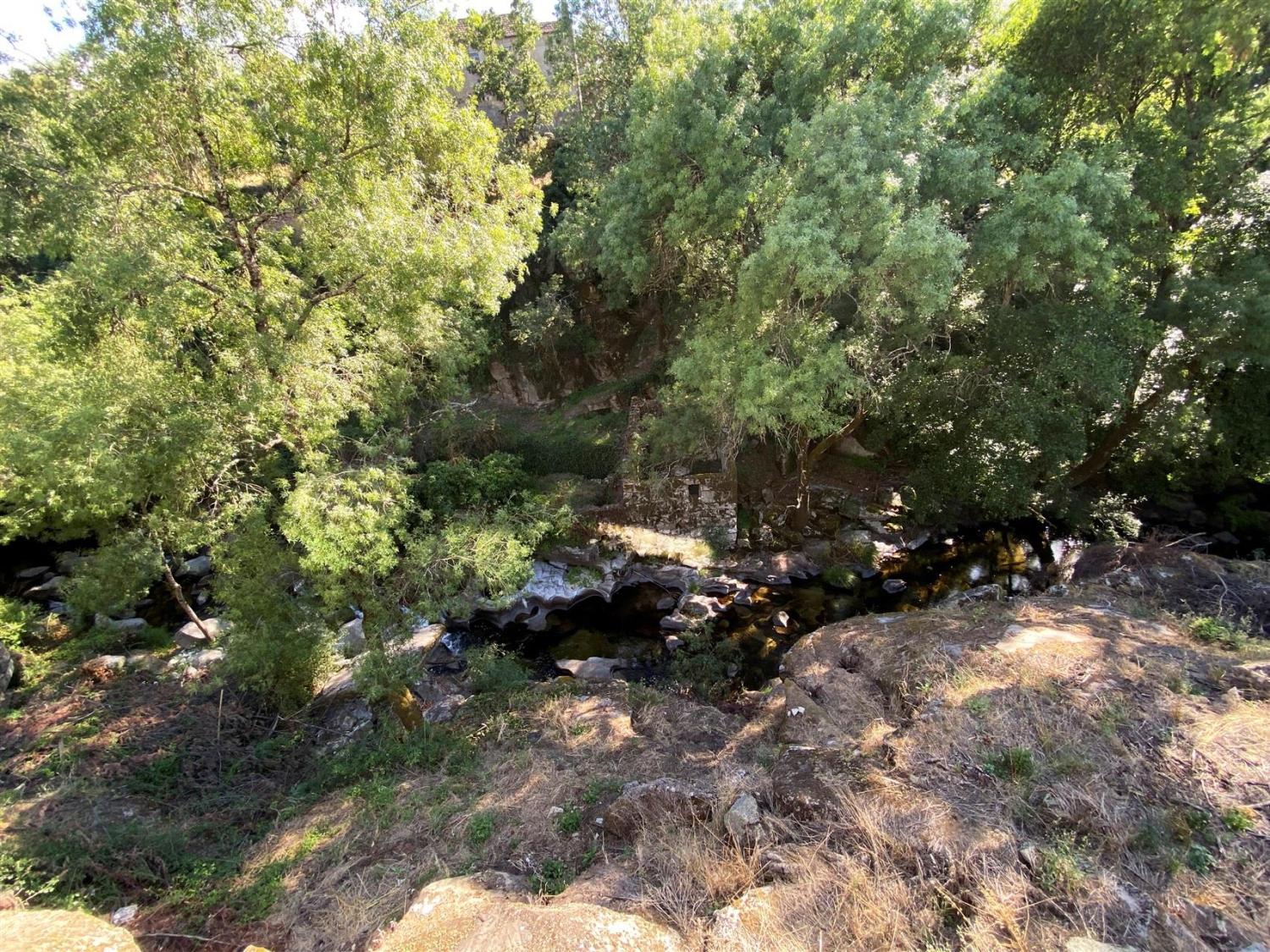  en venta finca rústica Gouveia Gouveia 28