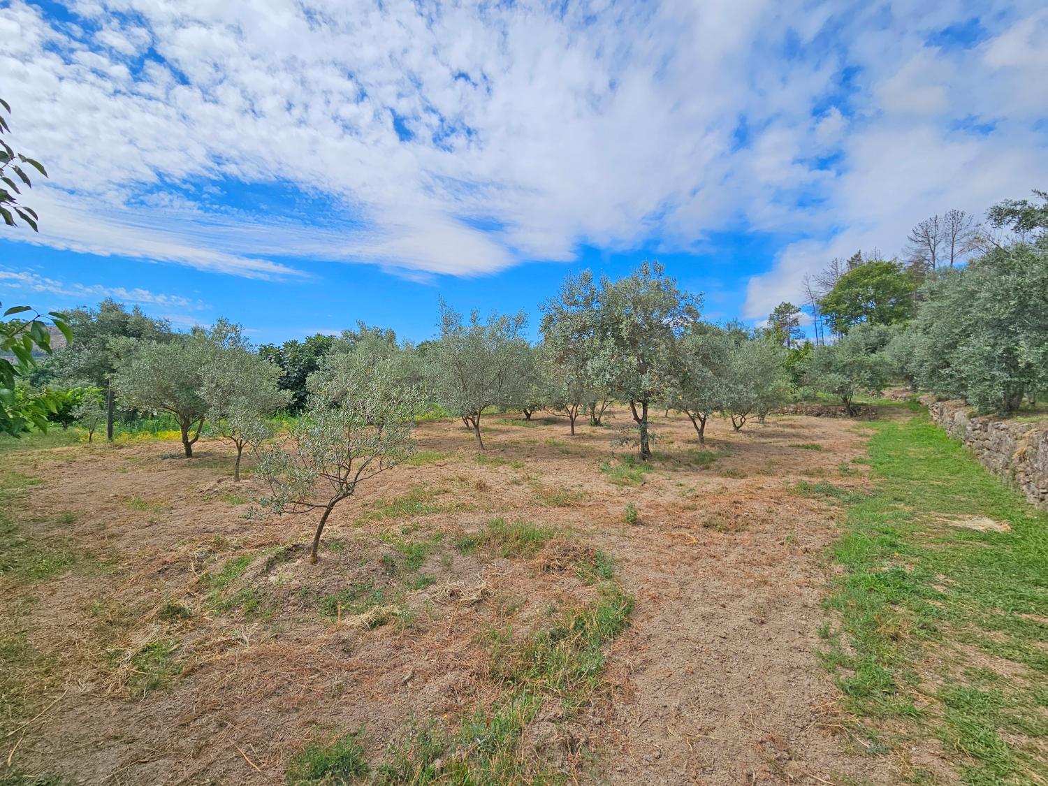  en venta casa Gonçalo Guarda 11