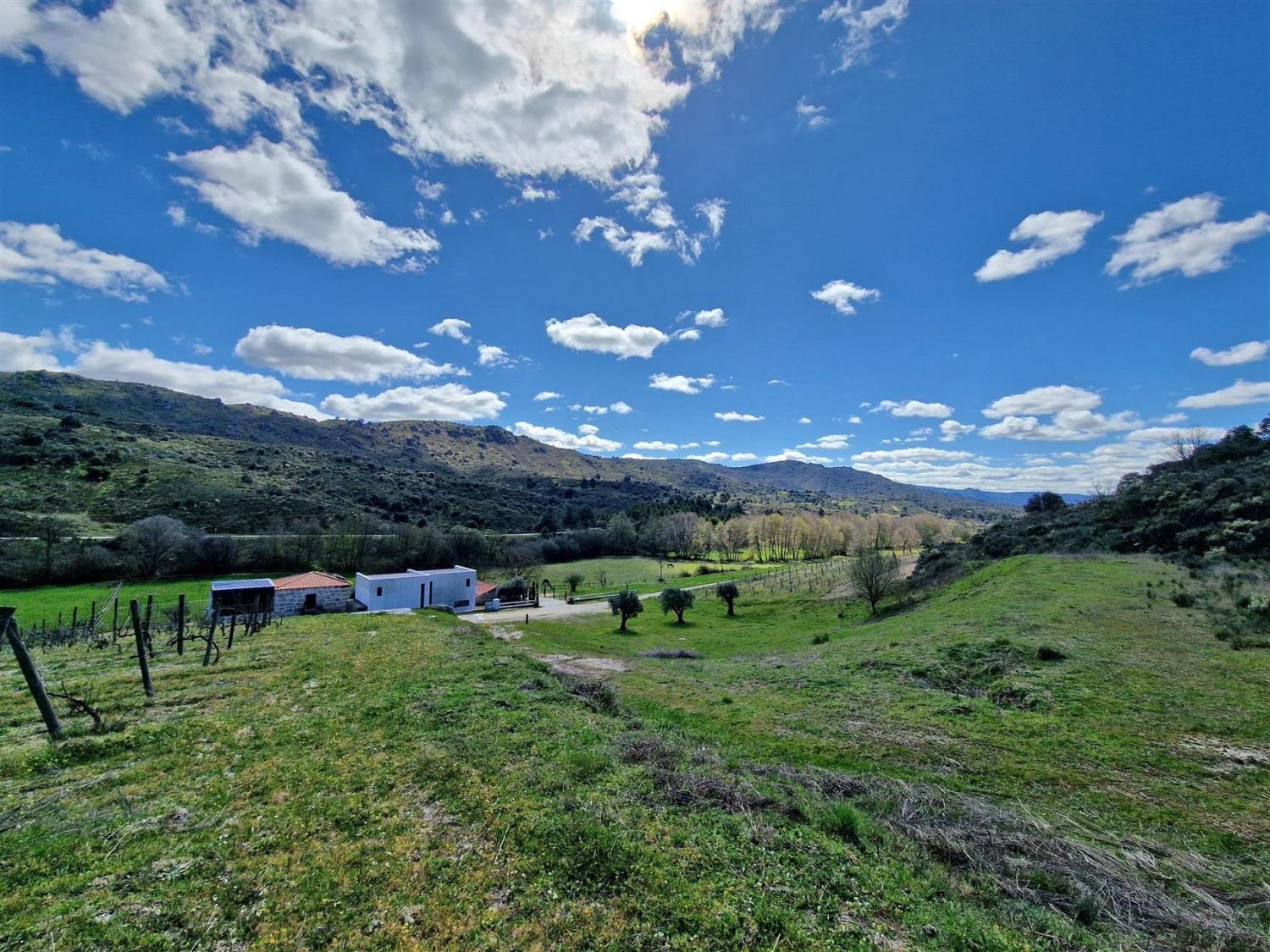  en venta finca rústica Celorico da Beira Celorico Da Beira 18