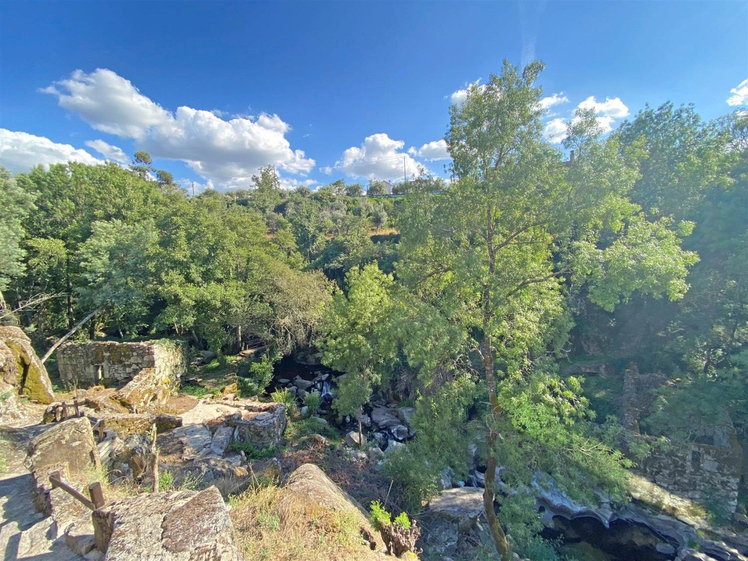  en venta finca rústica Gouveia Gouveia 27