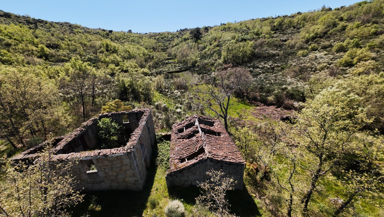 en venta casa rústica Lajeosa do Mondego Celorico Da Beira 2