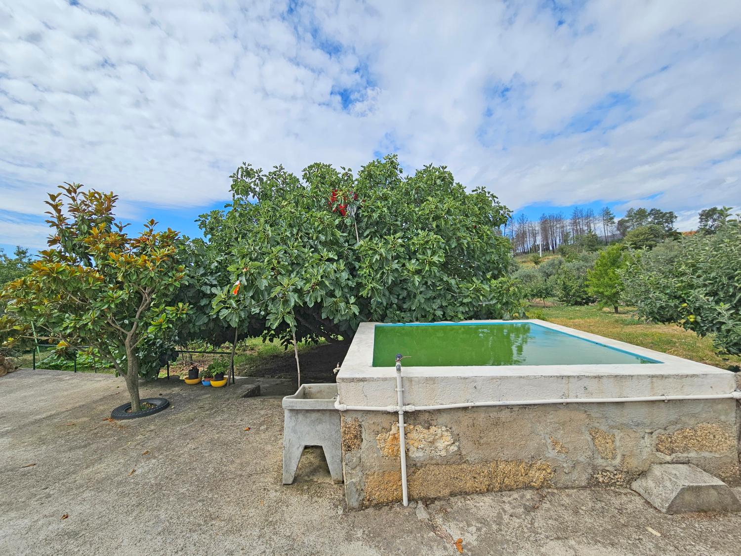  en venta casa Gonçalo Guarda 7