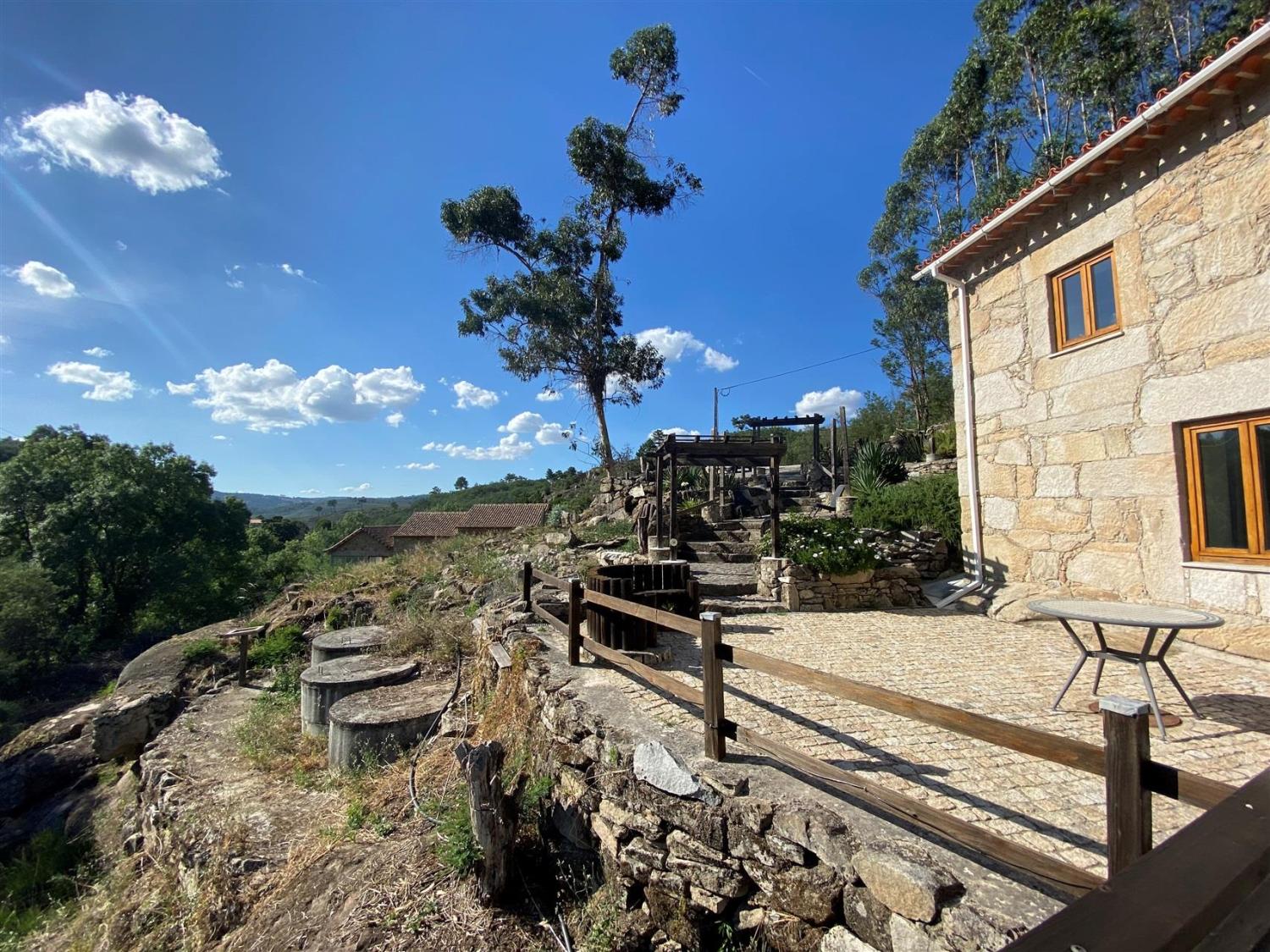  en venta finca rústica Gouveia Gouveia 4