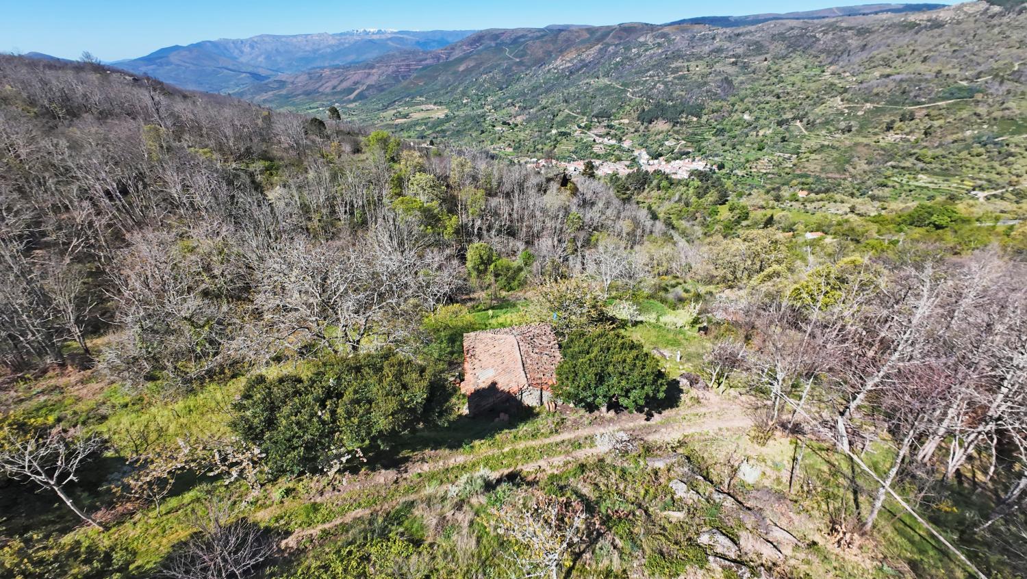  en venta casa rústica Famalicão Guarda 7
