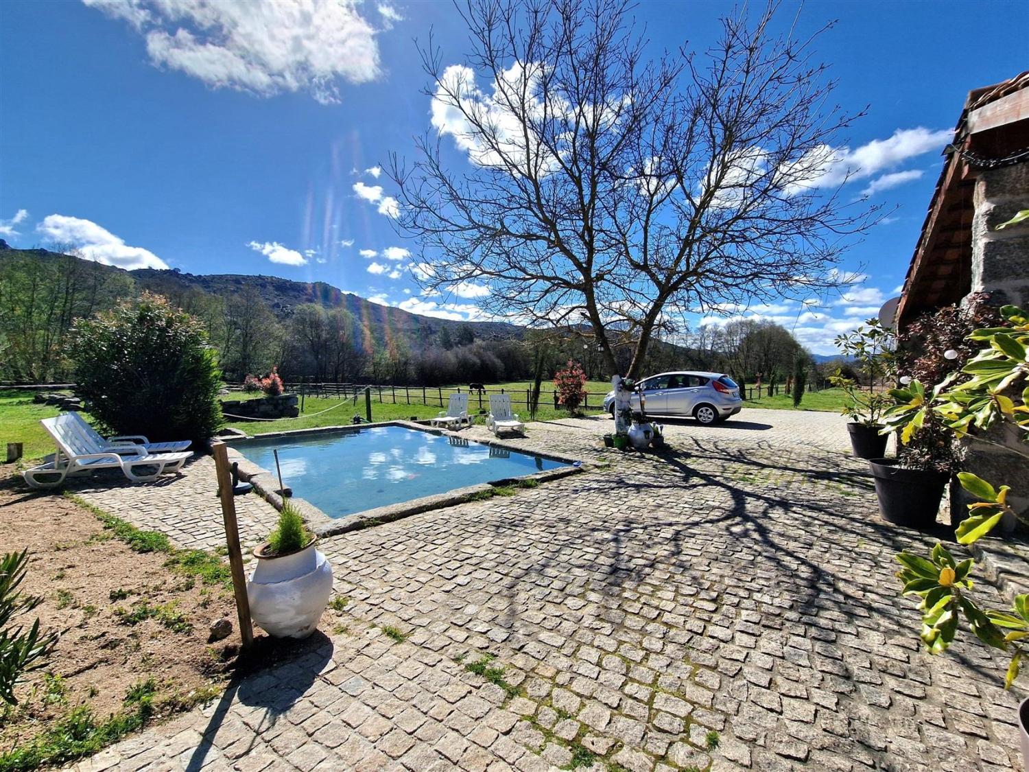  en venta finca rústica Celorico da Beira Celorico Da Beira 13