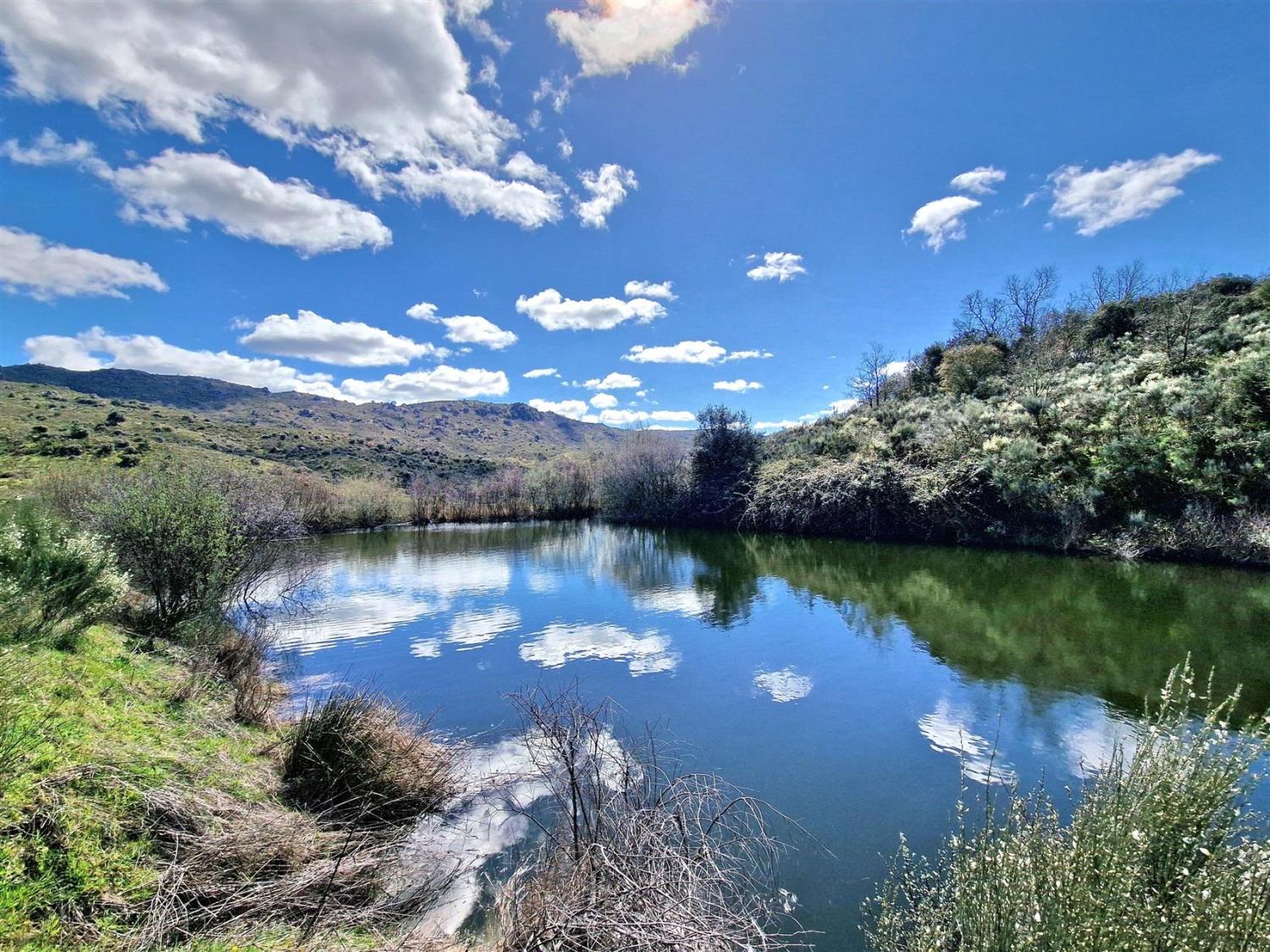  en venta finca rústica Celorico da Beira Celorico Da Beira 17