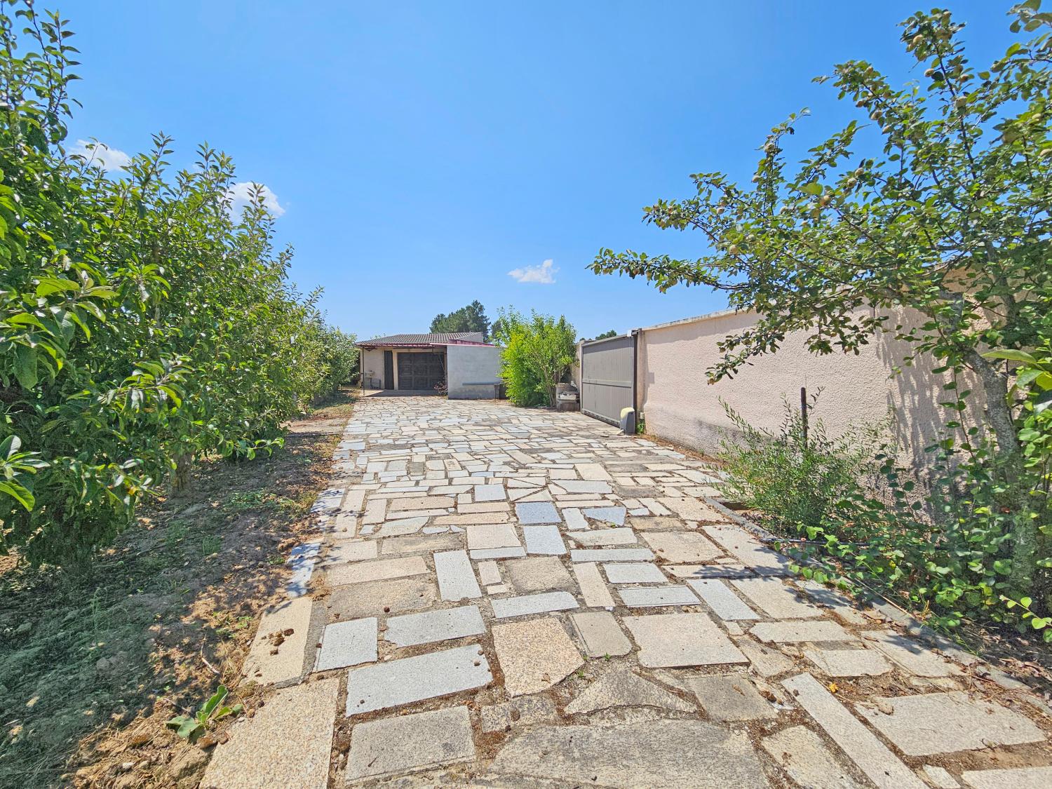  en venta casa independiente Souro Pires Pinhel 13