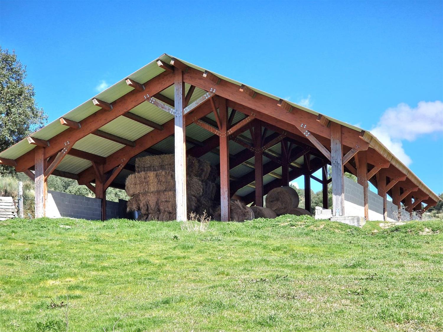  en venta finca rústica Celorico da Beira Celorico Da Beira 14