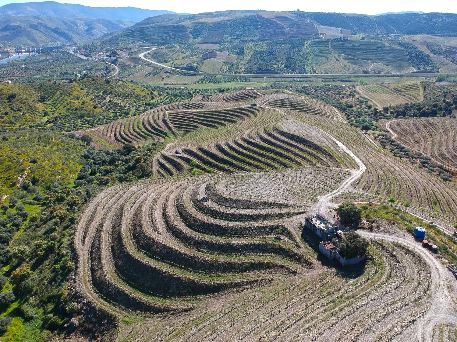  en venta viñedo Vila Nova de Foz Côa Vila Nova De Foz Côa 1