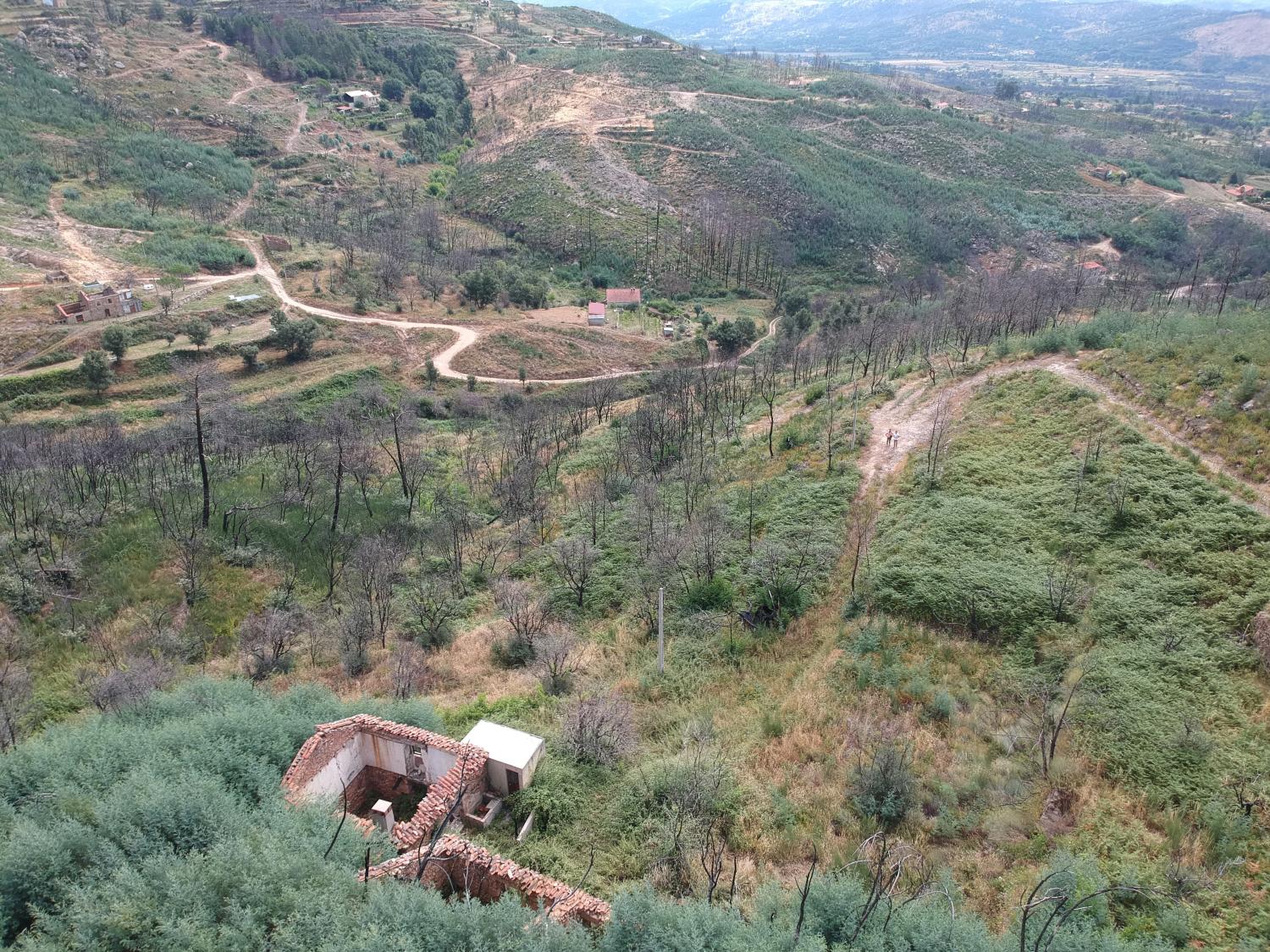  en venta terreno Valhelhas Guarda 7