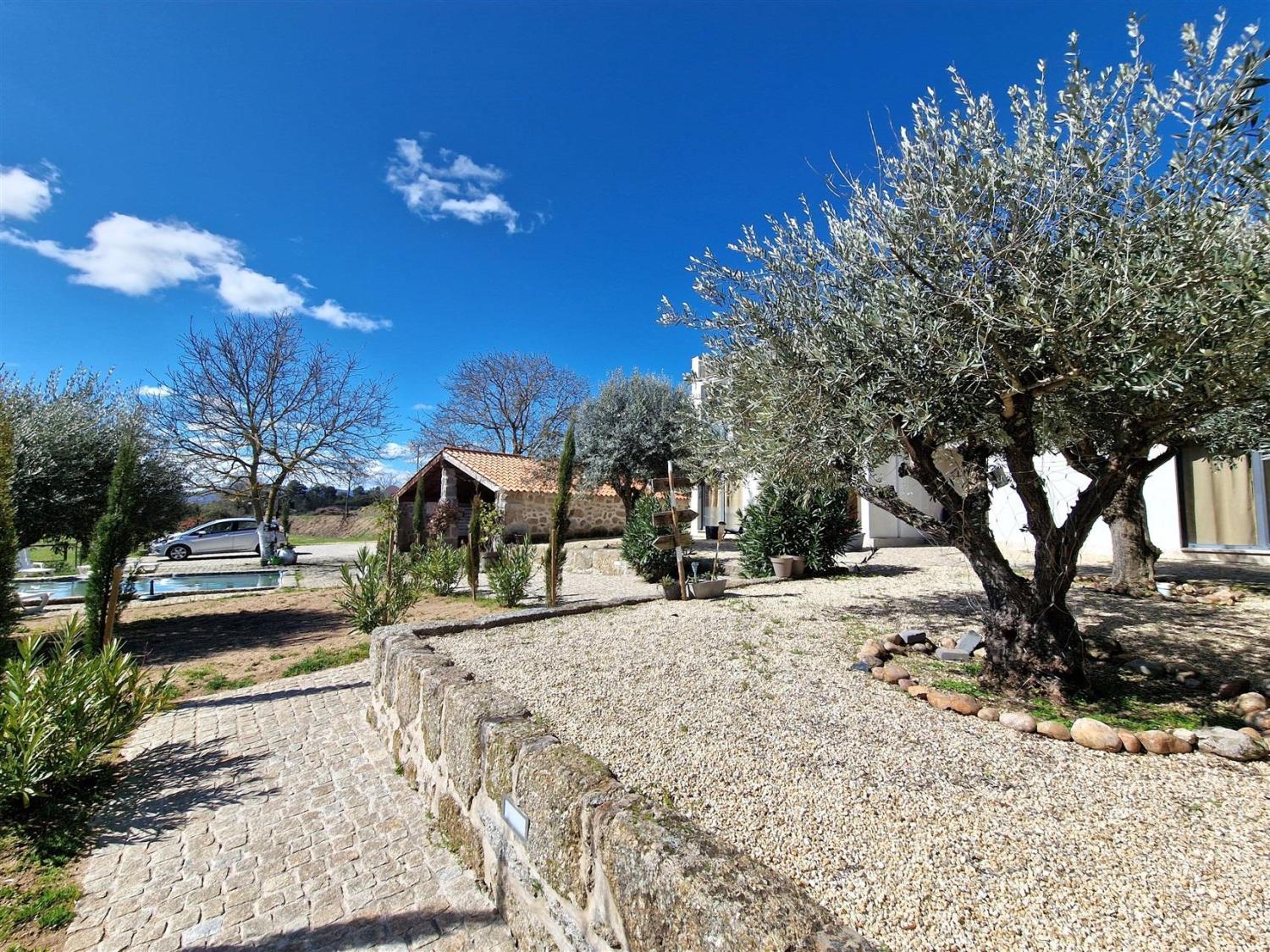  en venta finca rústica Celorico da Beira Celorico Da Beira 4